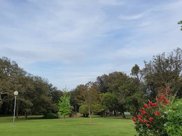 Logement Entier Santa-Maria-Poggio 262500-7