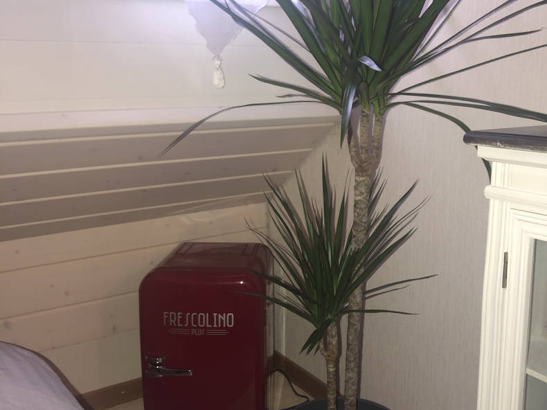 Homestay Mex 242824-5