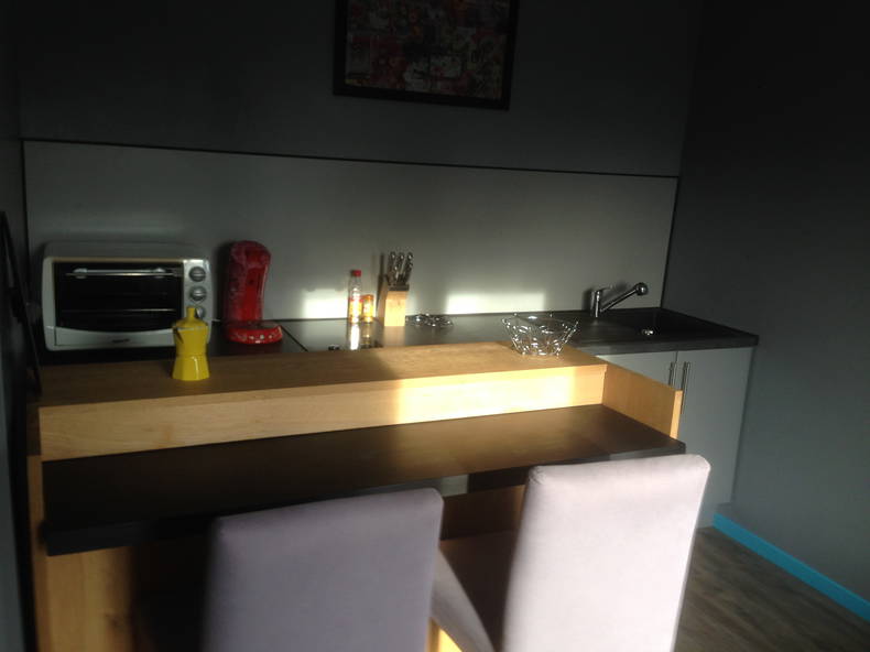 Chambre Chez L'habitant Saint-Orens-de-Gameville 92114-2