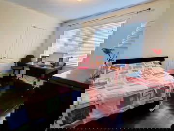 Coliving Mississauga 444945-8