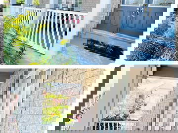 Coliving Mississauga 444945-13