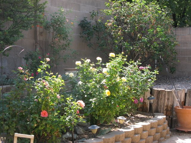 Hospedagem Em Casa De Família Albuquerque 194826