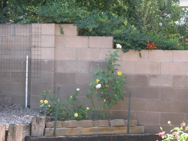 Hospedagem Em Casa De Família Albuquerque 194826