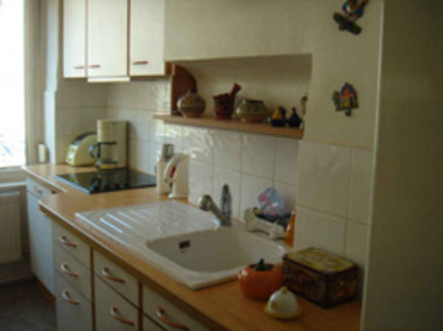 Entire Home Lyon 20295