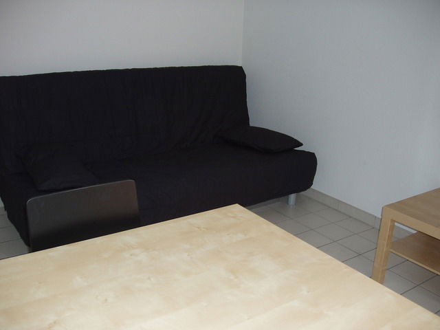Homestay Grenoble 13862
