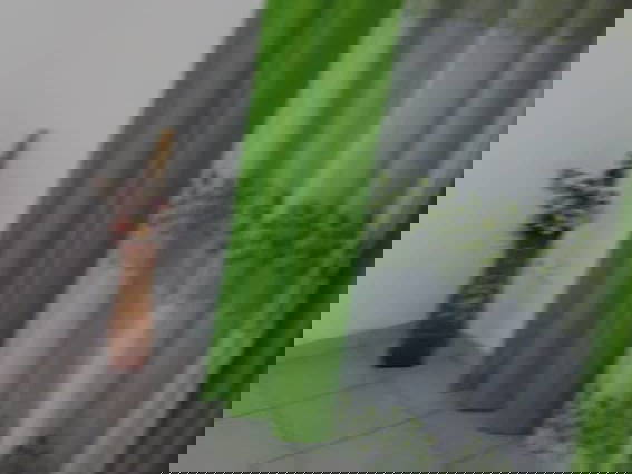 Colocation Edea 267411-4