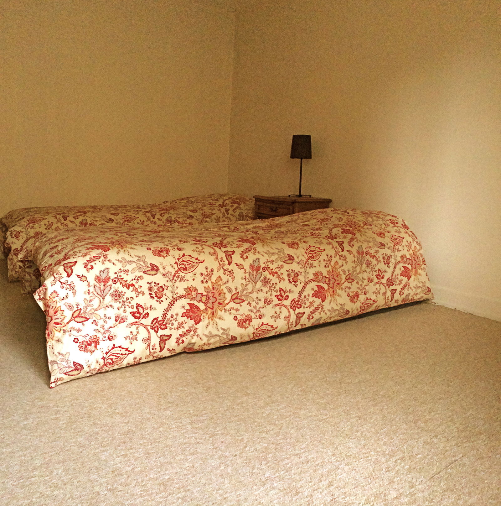 Entire Home Sion 56682