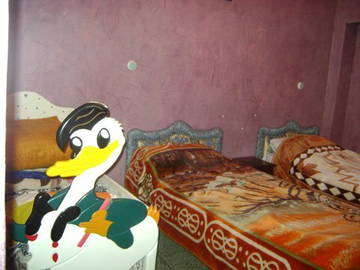 Entire Home Fès 64539-8