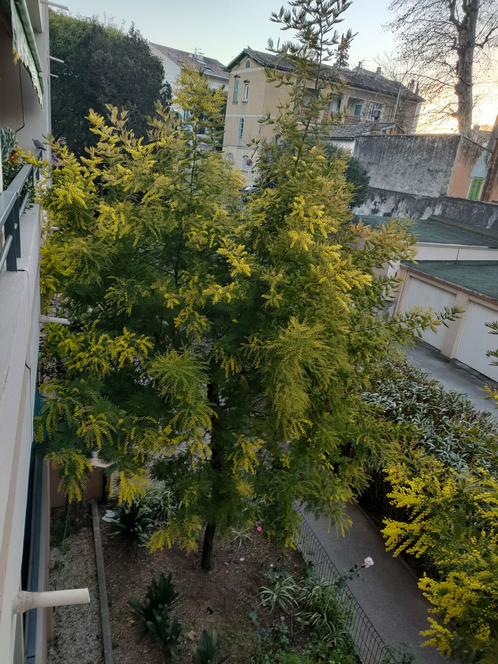 Independent Studio Toulon 258890