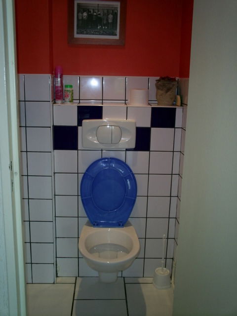 Entire Home Laxou 96824