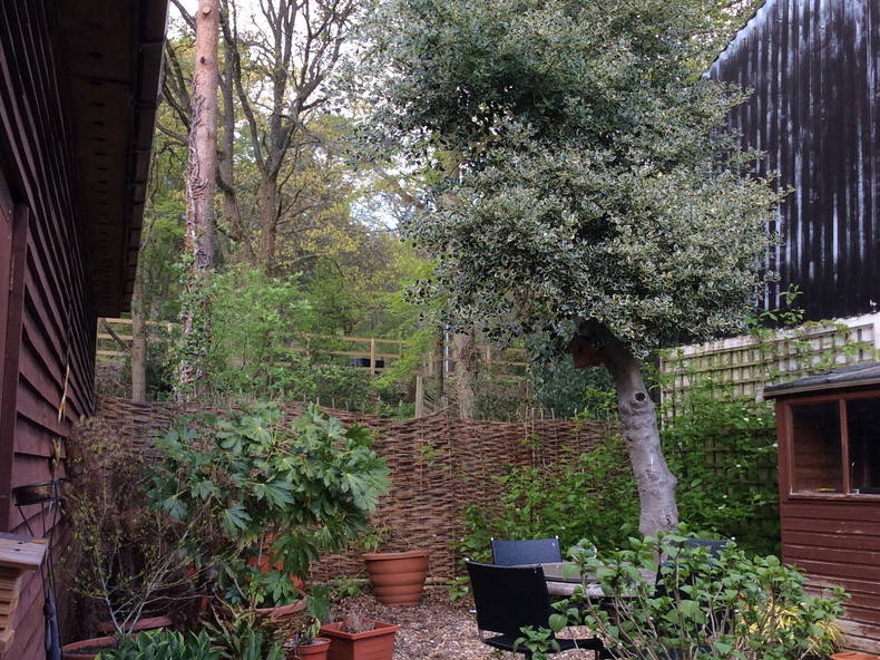 Gastfamilie Churt 166062-2