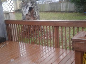 Chambre Chez L'habitant Grand Rapids 215398-9