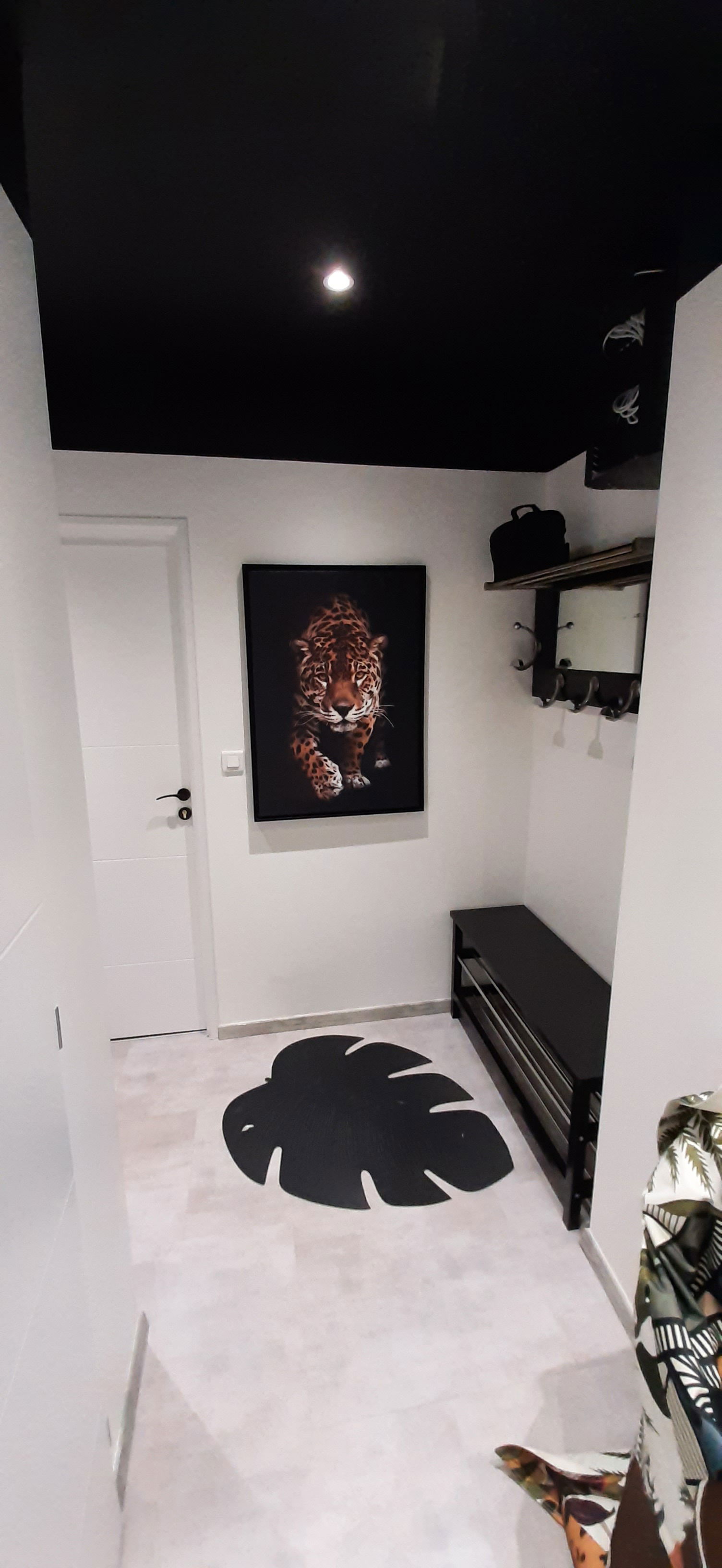 Colocation Grenoble 244997
