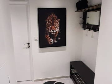 Colocation Grenoble 244997-7