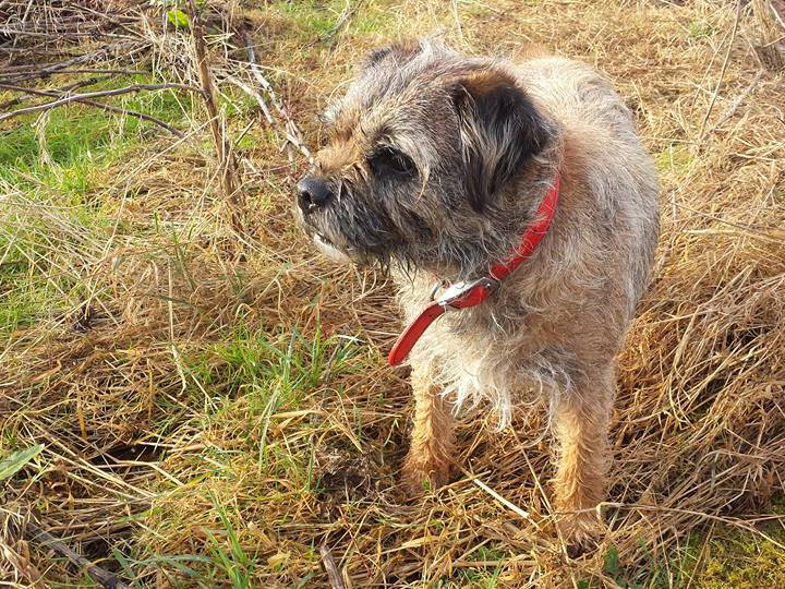 Gastfamilie Edge 226743-2