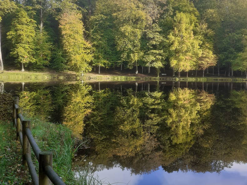 Chambres D'hôtes Bellême 237483-5