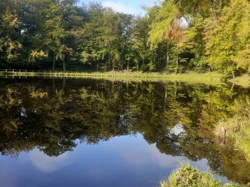 Chambre D'hôte Bellême 237483-6