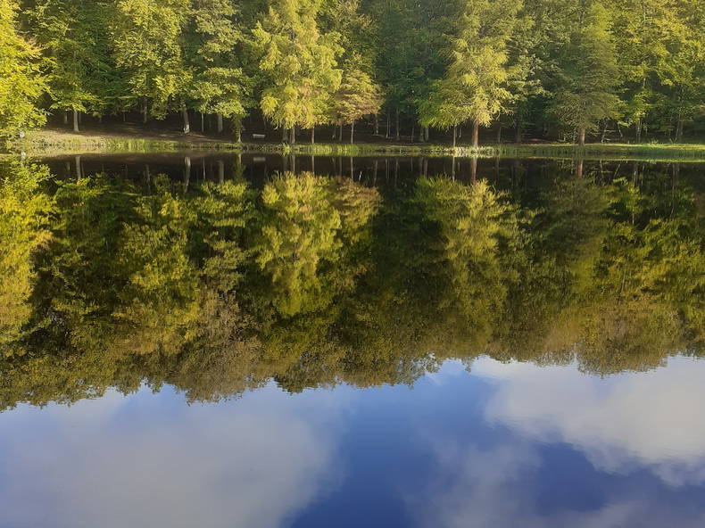 Habitaciones De Huéspedes Bellême 244061-5
