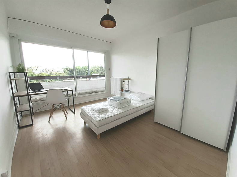 Kolokasie Saint-Brieuc 247588-4