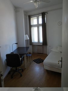 Colocation Montpellier 137250