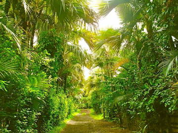 Logement Entier Saint-Pierre 228506-6