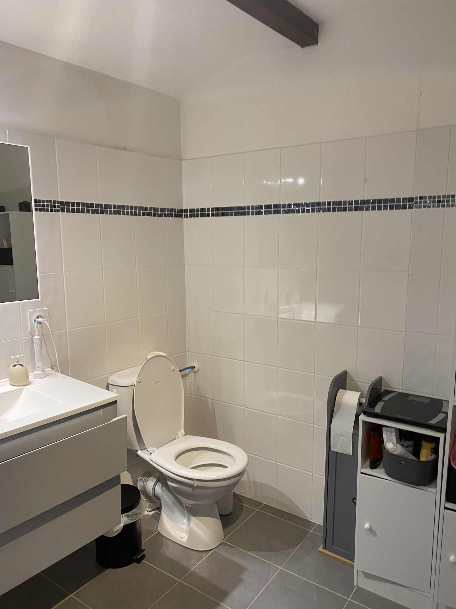Colocation Saint-Symphorien-d'Ancelles 606035