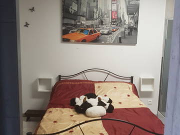 Logement Entier Hargarten-Aux-Mines 250627-7