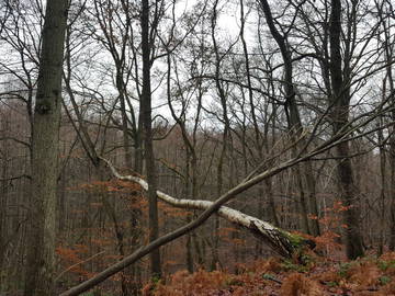 Homestay Plaisir 233581-5