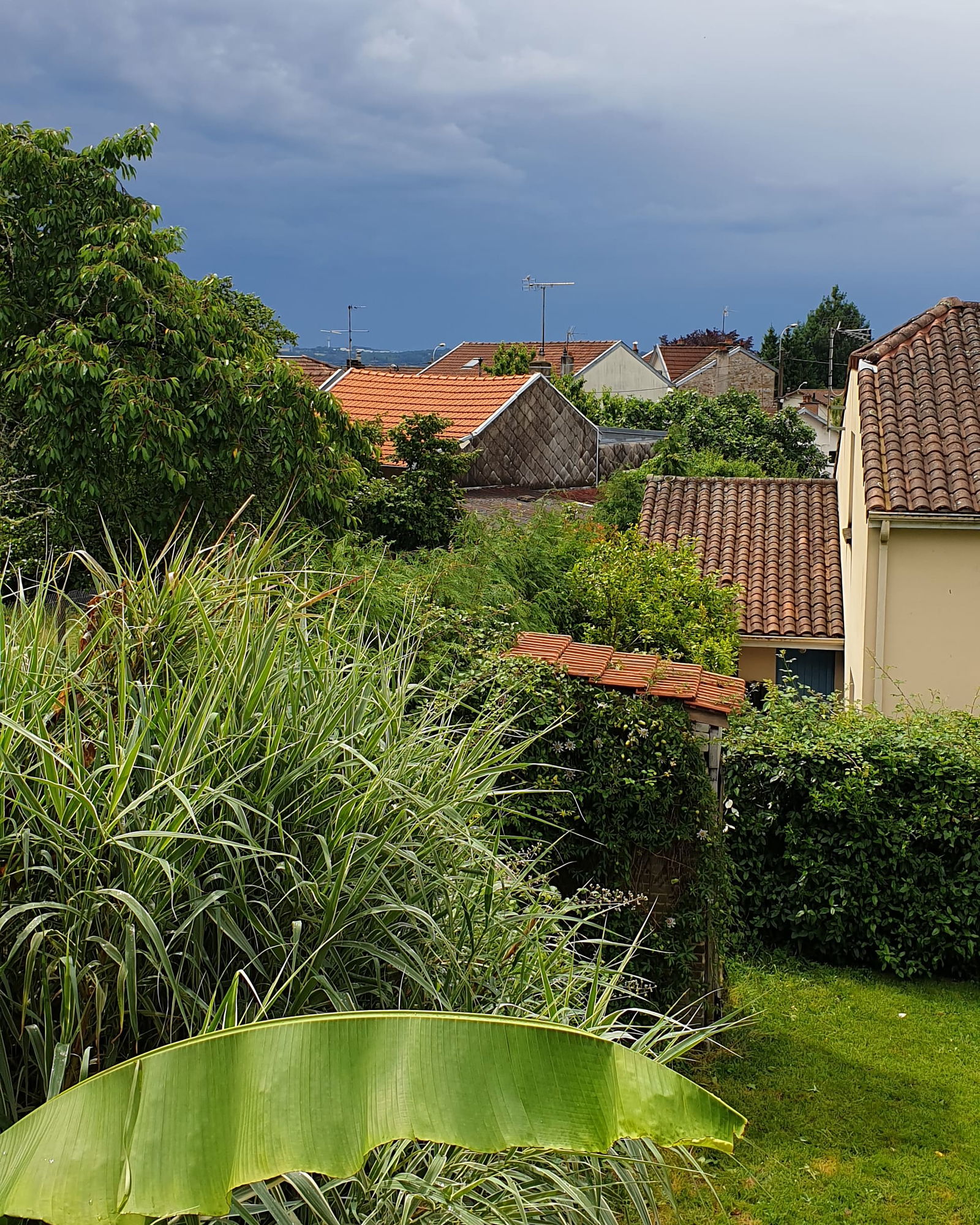 Colocation Limoges 267330