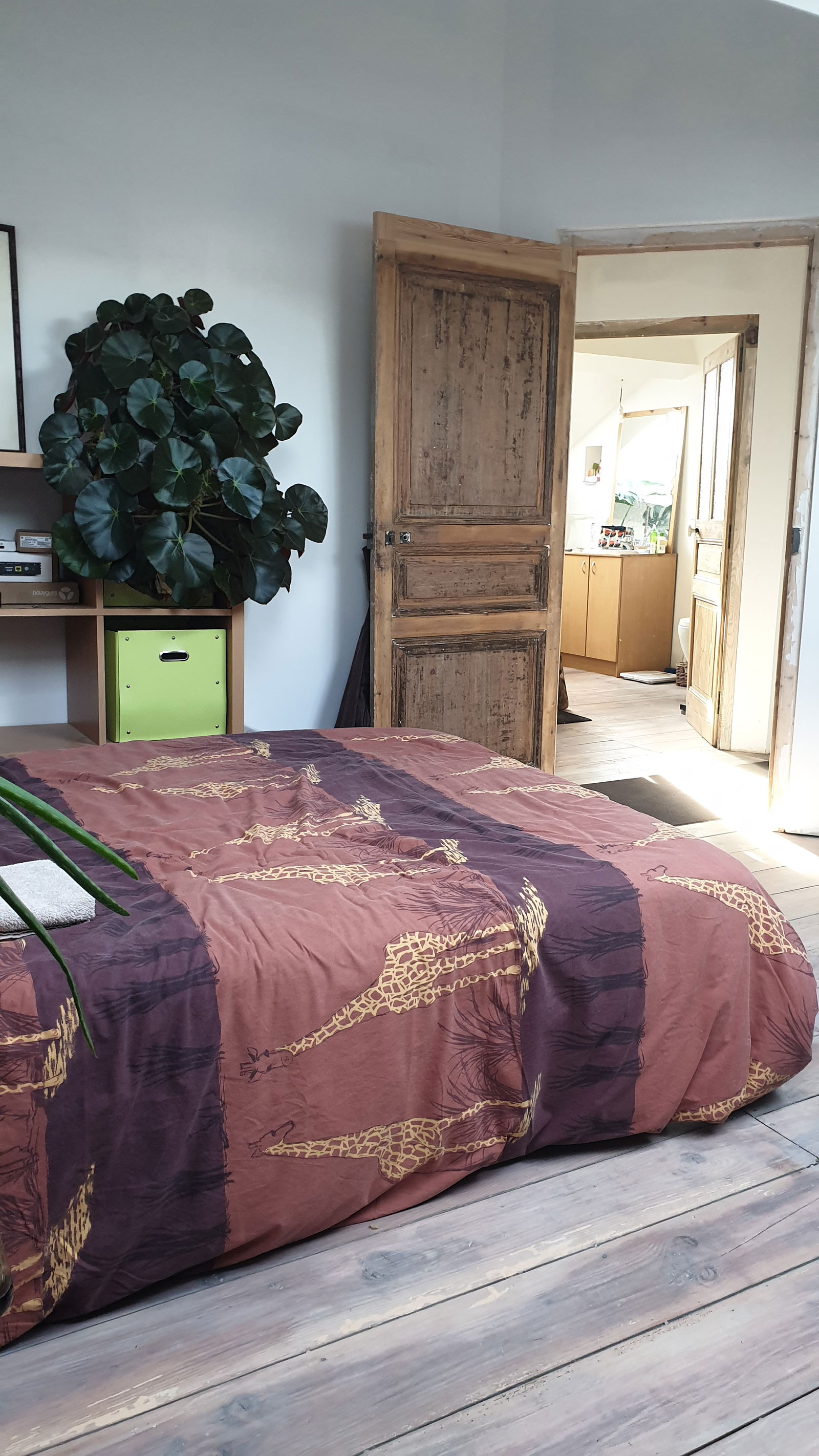 Colocation Limoges 267330