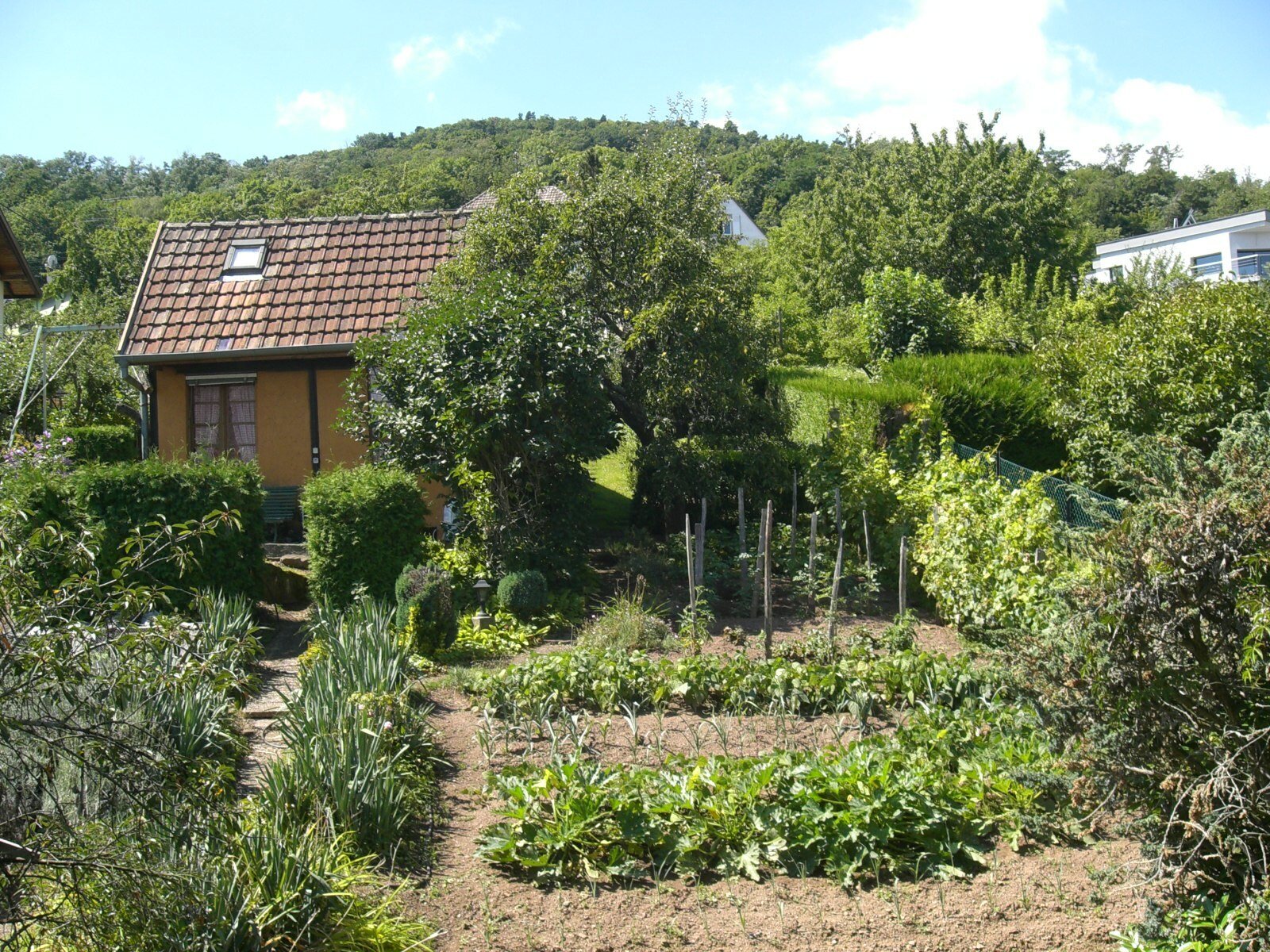 Homestay Guebwiller 251837