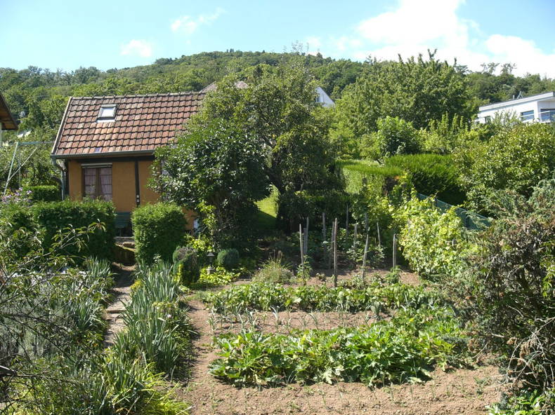 Gastfamilie Guebwiller 251837-1