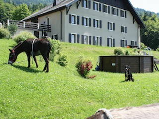 Logement Entier Draillant 140776-5