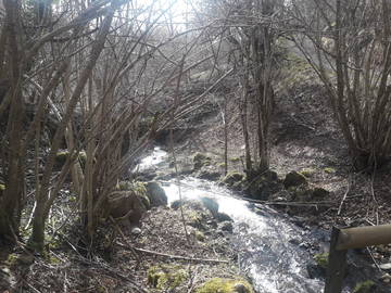 Logement Entier Bagnères-De-Luchon 198854-15