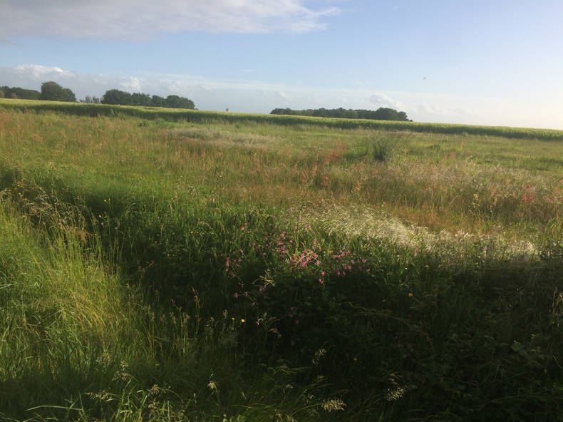 Zakwaterowanie U Rodziny Villeloin-Coulangé 265905-1