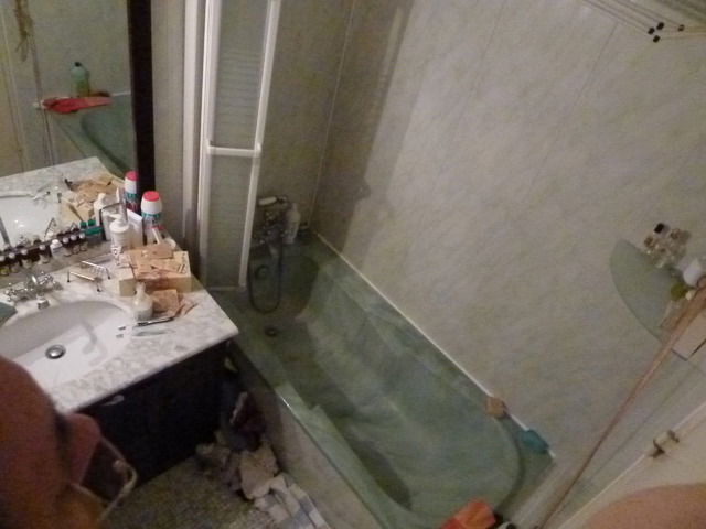 Homestay Villeurbanne 10006