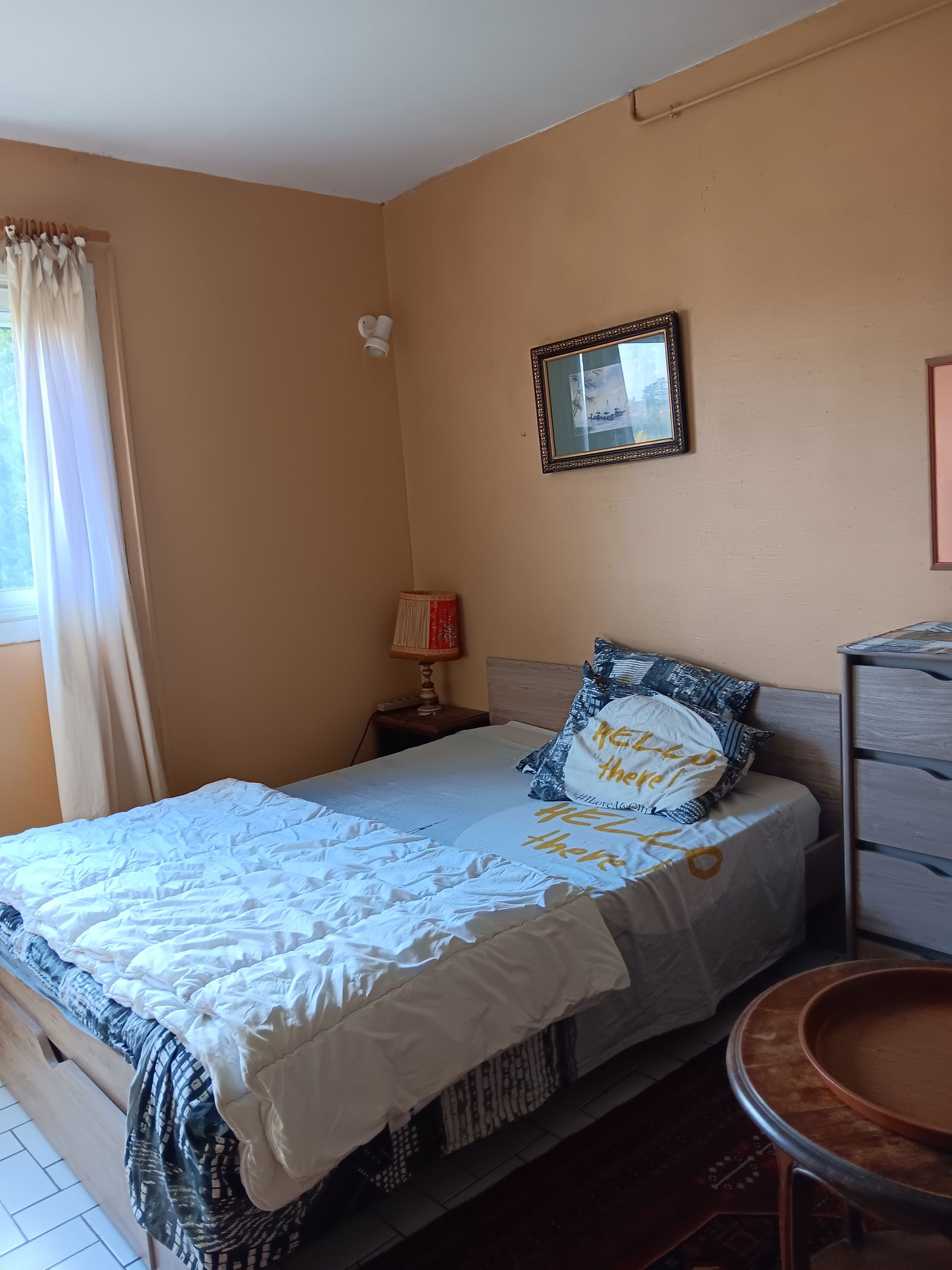 Homestay Tassin-la-Demi-Lune 20613
