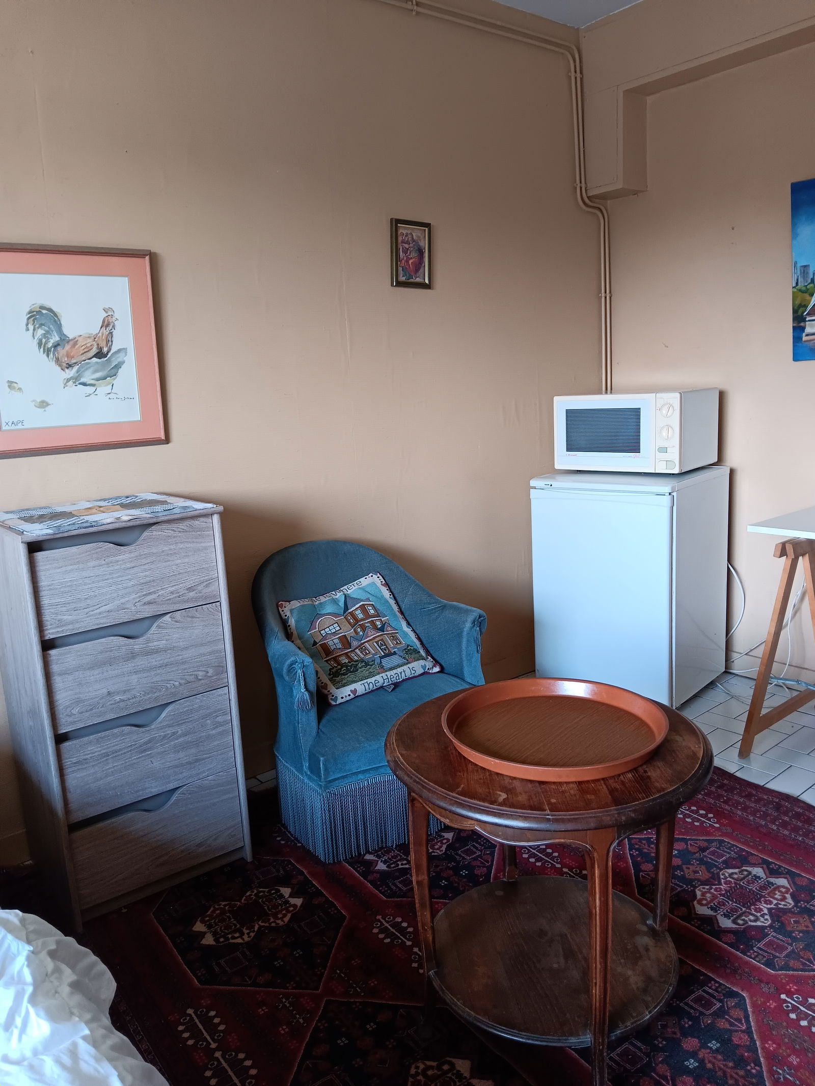 Homestay Tassin-la-Demi-Lune 20613