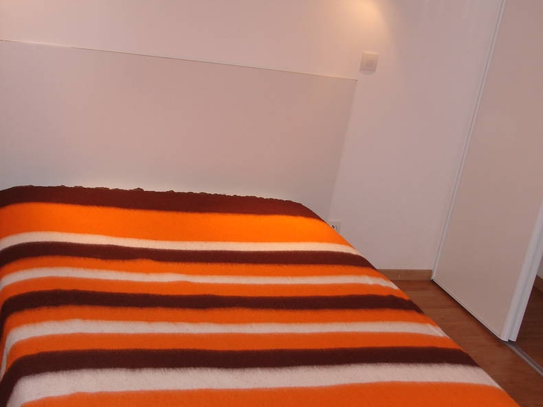 Chambre Chez L'habitant La Chapelle-Saint-Mesmin 219116-1