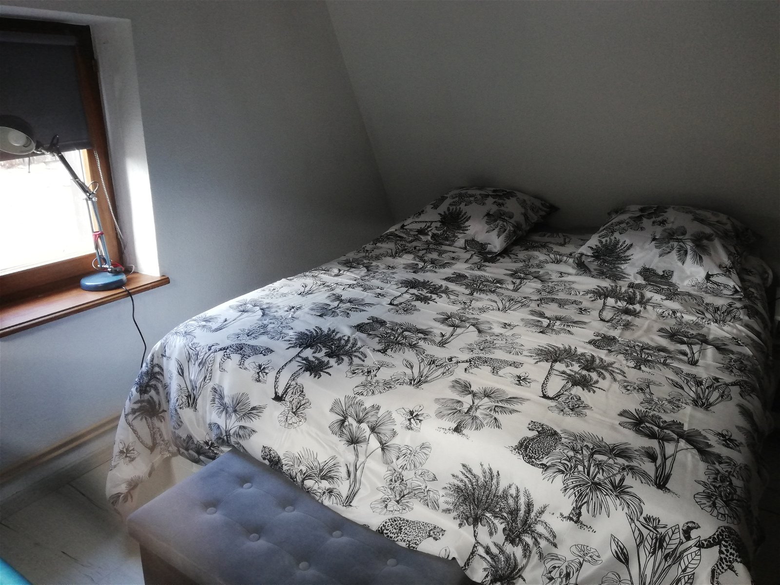 Colocation Châtenois 249655