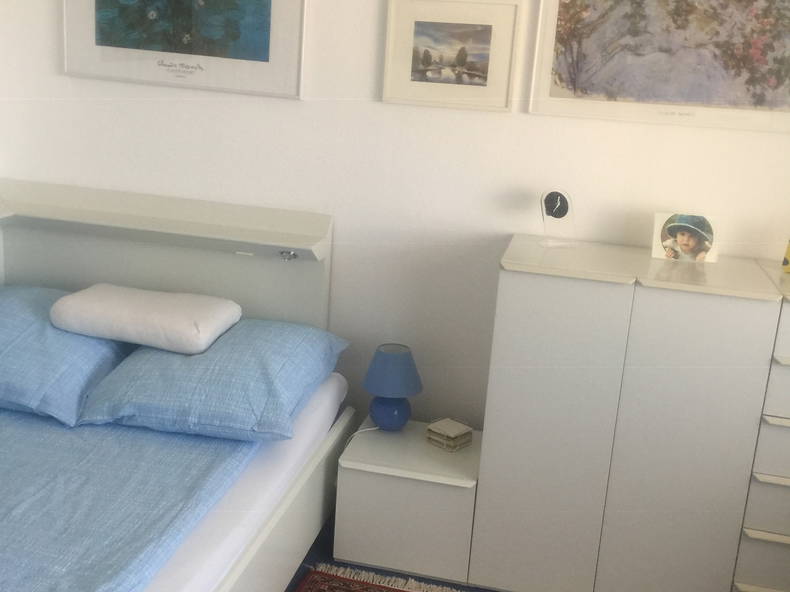 Chambre Chez L'habitant Chernex 254109-2