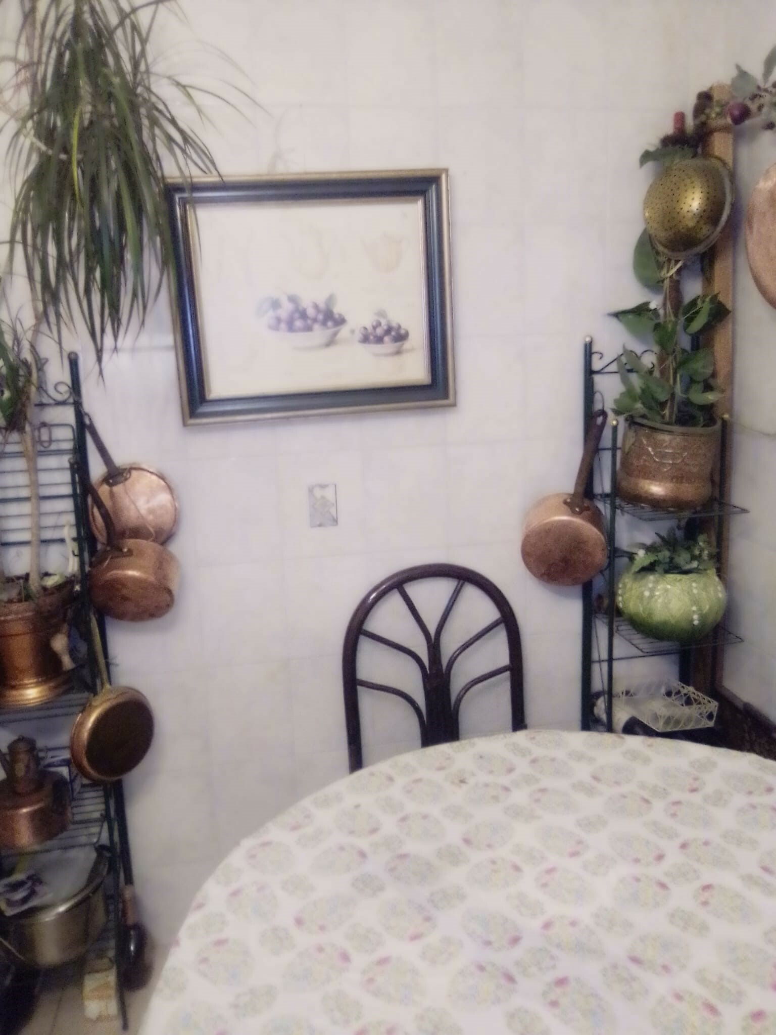 Homestay Lausanne 257689