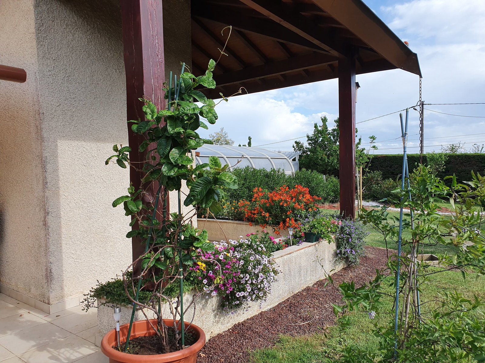 Homestay Montrabé 663238