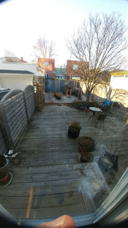 Homestay Longueuil 189540