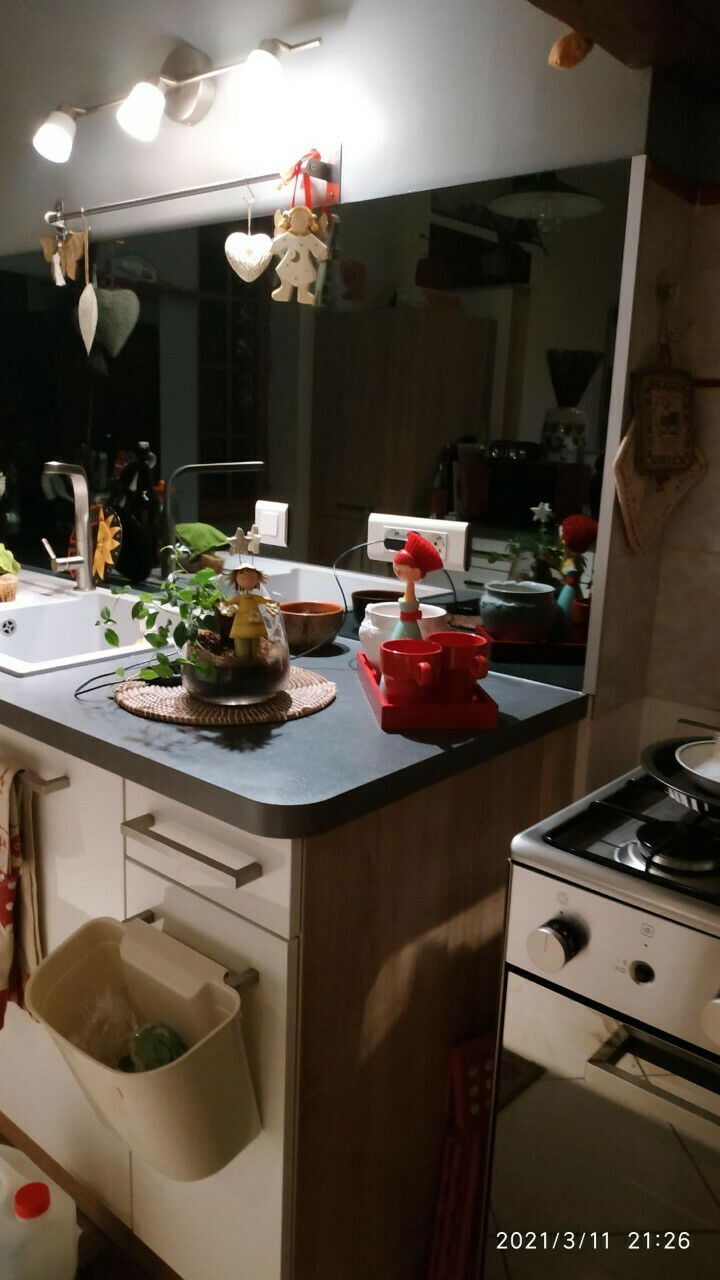 Homestay Villeurbanne 393631