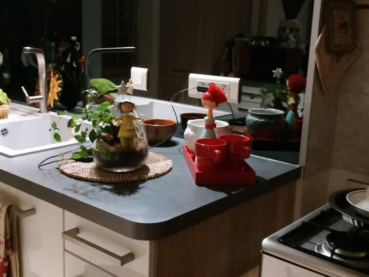 Homestay Villeurbanne 393631-5