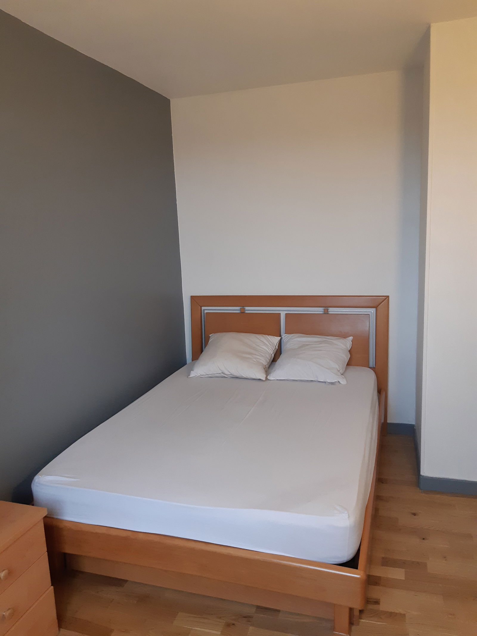 Colocation Dreux 244470