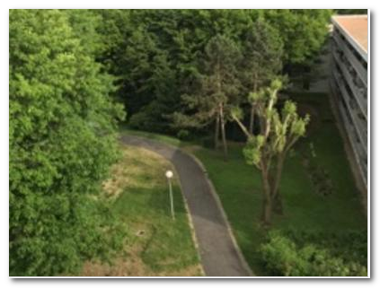 Colocation Tremblay-en-France 192579