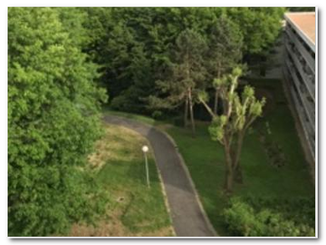 Colocation Tremblay-En-France 175745-6