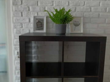 Colocation Dijon 250836-10